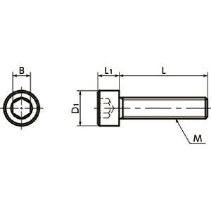 SNSI-M5-12 NBK Socket Head Cap Screw - Inconel equiv.- Made in Japan - VXB Ball Bearings