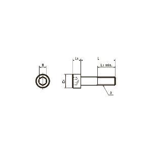 SNSS-#12-24-3/4 NBK Hex Socket Head Cap Screws - Inch Thread- Pack of 10. Made in Japan - VXB Ball Bearings