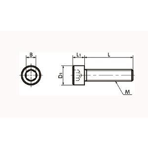 SNSS-M5-16-TF NBK Hex Socket Head Cap Screws - Teflon Coating One Screw Made in Japan - VXB Ball Bearings