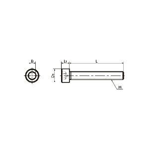 SNSS-M5-45-FT NBK Hex Socket Head Cap Screws - Full Thread. Made in Japan - VXB Ball Bearings