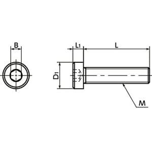 SPE-M4-8-LC NBK Plastic screw - Hex Socket Low Head Bolt - PEEK Made in Japan Pack of 100 - VXB Ball Bearings