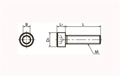 SPS-M5-12-C NBK Plastic Screw - Socket Head Cap Screws - PPS Pack of 10 Screws - Made in Japan - VXB Ball Bearings