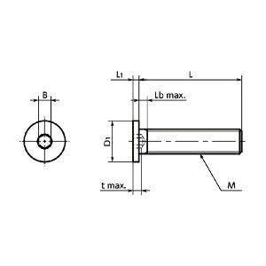 SSHT-M6-12 NBK Socket Head Cap Screws - Special Low Profile - Pure Titanium -Made in Japan - VXB Ball Bearings