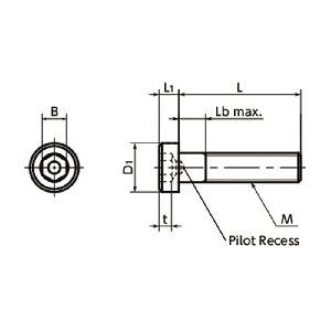 Made in Japan SLP-M6-16 NBK Socket Head Cap Screws with Low Profile with Pilot Recess Pack of 20 - VXB Ball Bearings