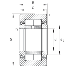 NURT25UU Track Cylindrical Double Row Roller Bearing 25x52x24 - VXB Ball Bearings