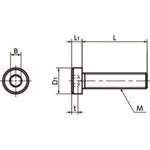 SLH-M6-12-SD NBK Socket Head Cap Screws with Low & Small Head- Pack of 10-Made in Japan - VXB Ball Bearings