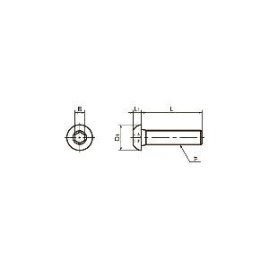 SNBS-#4-40-3/16 NBK Hex Socket Head Cap Screws - Inch Thread- Pack of 10. Made in Japan - VXB Ball Bearings
