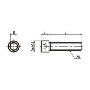 SNS-M6-20-EL NBK Socket Head Cap Screws Electroless Nickel Plating - Pack of 10. Made in Japan - VXB Ball Bearings
