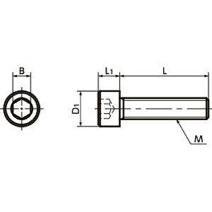SNSH-M5-12-C22 NBK Socket Head Cap Screw - Hastelloy C-22 equiv Made in Japan - VXB Ball Bearings