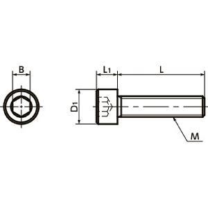 SNSIV-M6-25 NBK Socket Head Cap Screw - Super Invar Made in Japan - VXB Ball Bearings