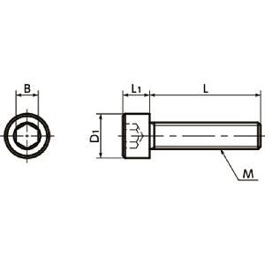 SNSJ-M8-20 NBK Socket Head Cap Screws - SUS310S- Made in Japan - VXB Ball Bearings