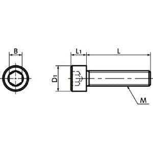 SNSMN-M3-6 NBK Hex Socket Head Cap Screws (Monel 400 equiv.)- Made in Japan - VXB Ball Bearings