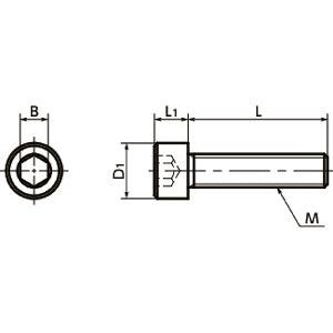 SNSP-M5-20 NBK Socket Head Cap Screw - Phosphor Bronze Made in Japan - VXB Ball Bearings