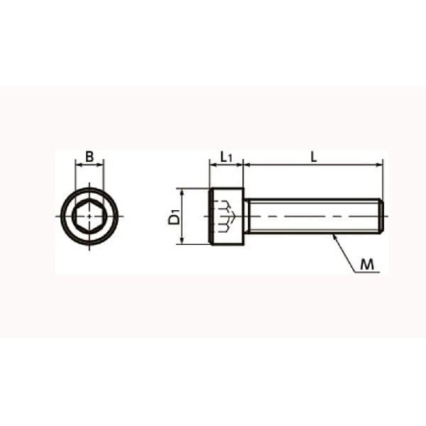 SNSS-M8-16-TF NBK Hex Socket Head Cap Screws - Teflon Coating One Screw Made in Japan - VXB Ball Bearings