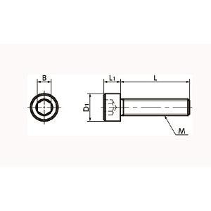 SNSS-M8-30-TF NBK Hex Socket Head Cap Screws - Teflon Coating One Screw Made in Japan - VXB Ball Bearings