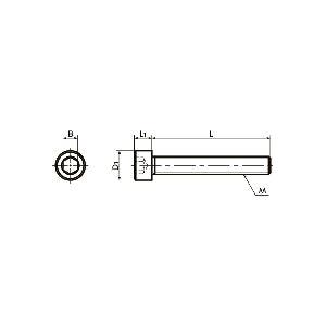 SNSS-M8-80-FT NBK Hex Socket Head Cap Screws - Full Thread. Made in Japan - VXB Ball Bearings