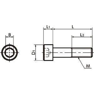 SNSTG-M3-16 NBK Hex Socket Head Cap Screws - High Intensity Titanium Alloy- Made in Japan - VXB Ball Bearings