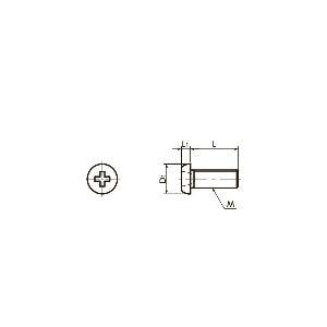 SNZT M1.6-2 NBK 2mm Titanium Pan Head Machine Screws for Precision Instruments - VXB Ball Bearings