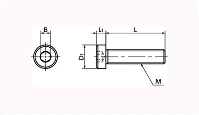 SPA-M3-6-LC NBK Plastic screw - Hex Socket Low Head Bolt - RENY Pack of 20 Screws Made in Japan - VXB Ball Bearings