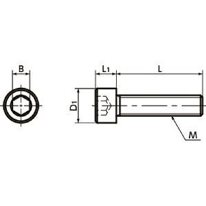 SPDC-M3-6-C NBK Plastic Screw - Socket Head Cap Screws - VESPEL√Ø¬ºÀÜGrade√Ø¬º≈°SCP-5000√Ø¬º‚Ä∞ Made in Japan - VXB Ball Bearings