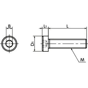 SPE-M5-8-LC NBK Plastic screw - Hex Socket Low Head Bolt - PEEK Made in Japan - VXB Ball Bearings