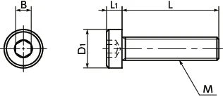 SPS-M5-8-LC NBK Plastic screw - Hex Socket Low Head Bolt - PPS Pack of 10 Screws - Made in Japan - VXB Ball Bearings