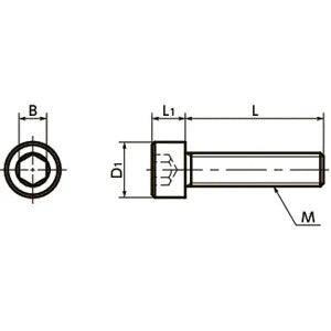 SPV-M5-30-C NBK Plastic Screw - Socket Head Cap Screws - PVDF Made in Japan - VXB Ball Bearings