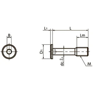 SSCHS-M3-8 NBK Socket Head Cap Captive Screws with Special Low Profile Made in Japan - VXB Ball Bearings