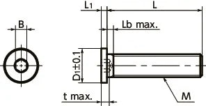 SSH-M5-12-SD NBK Socket Head Cap Screws with Extreme Low & Small Head- Pack of 10-Made in Japan - VXB Ball Bearings